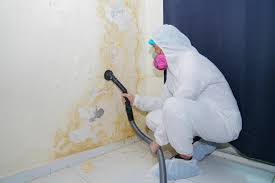 Mold Remediation for Vacation Homes in Fallsburg, NY